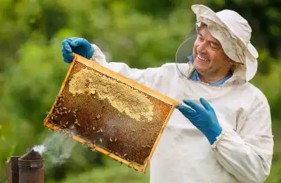 How much do beekeepers make