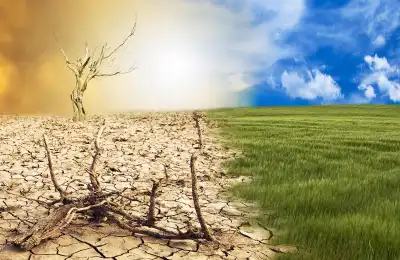 Image of seasons changing.
