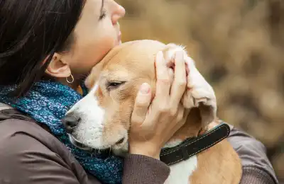Grieving dogs with separation anxiety