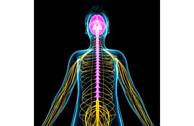 How Does Movement Heal Trauma?