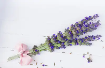 lavender for luck