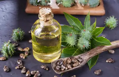 What is Castor Oil?