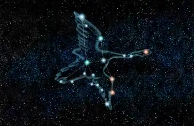 Cygnus