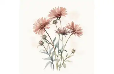 aster september birth flower artwork