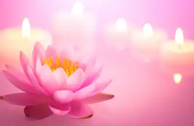 The Lotus Flower symbolism