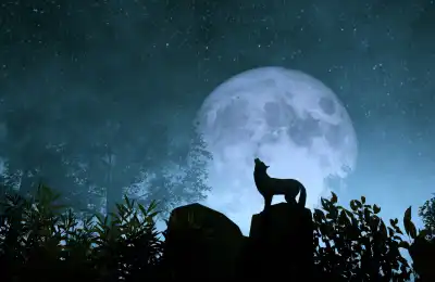 How Can You Tell What Your Spirit Animal Is?