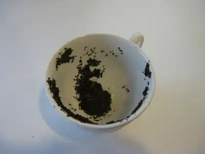 reading tea leaves