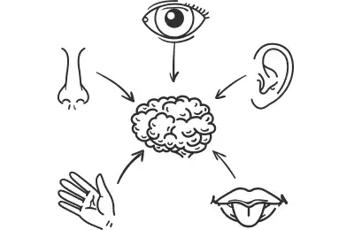 Use the Five Senses when writing