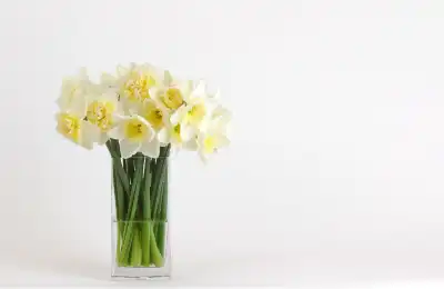 bouquet of daffodils in vase