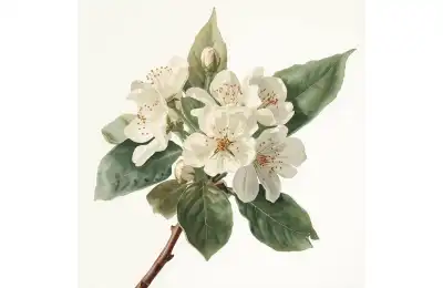Hawthorn may birth flower tattoo idea