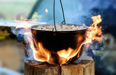 Cauldron of food