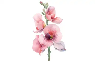sweet pea april birth flower tattoo idea