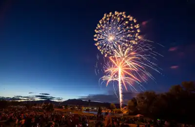 Firework Desensitisation Training