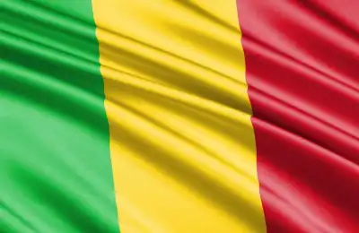 Mali flag