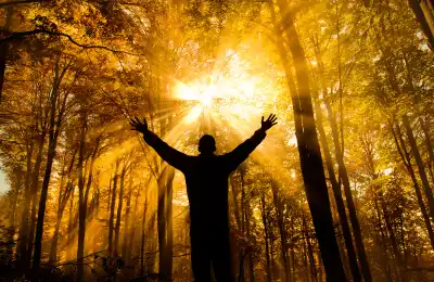 Angel Number 1133 and Personal Growth