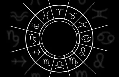 An image of all 12 zodiac signs