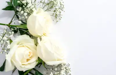 The Symbolism of Different-Coloured Roses
