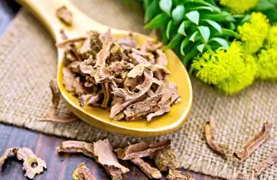 The Benefits of Rhodiola Root