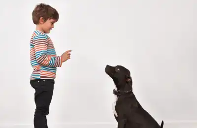 How to Help a Clingy Dog
