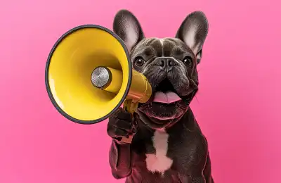 What Is the 3 Bark Rule?