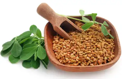 Control appetite with Fenugreek