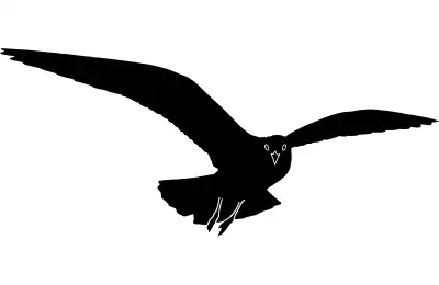 Avian Symbols and Their Meanings