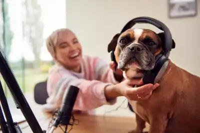 Dog with headphones on