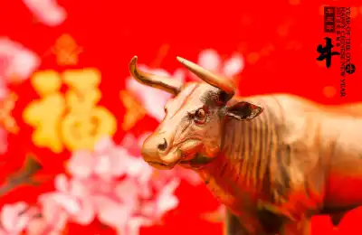 chinese Year of the Ox