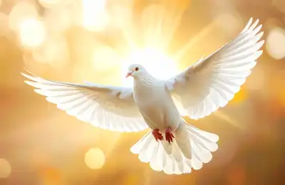 The Mourning Dove as a Spiritual Messenger
