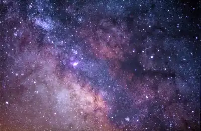 Vulpecula's Stars