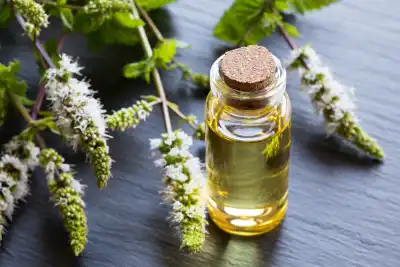 Peppermint Oil