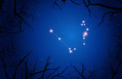 Serpens' Stars