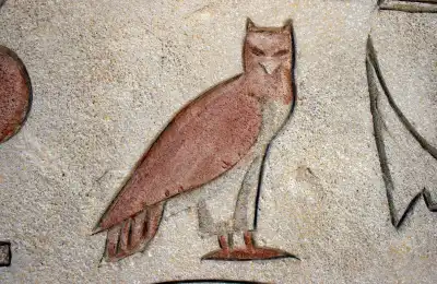 The Hawk in Different Cultures