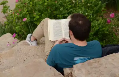 An image of someone reading a book outside.