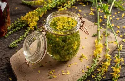 How to Make a Basic Herbal Tincture