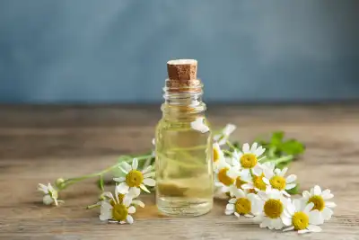 Chamomile Oil