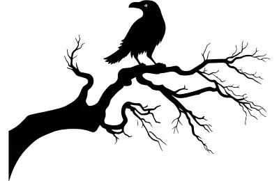 The Raven
