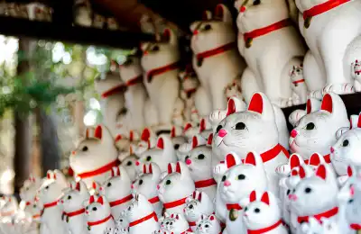 white Maneki-Nekos in varying sizes