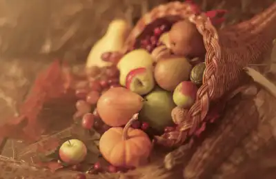 The Cornucopia