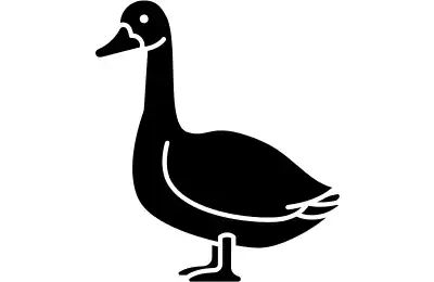 The Goose