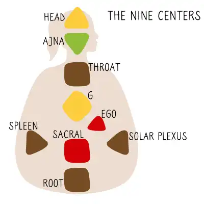 Solar Plexus Chakra location