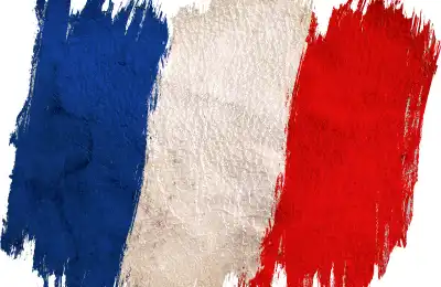 Old Flag of Algeria: The Era of French Algeria