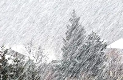 Blizzards