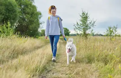 Helping Your Dog Relax After the Vet