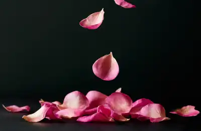 The Symbolism of Rose Petals