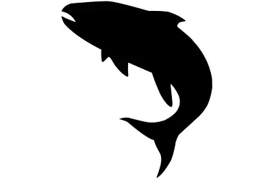 The Salmon