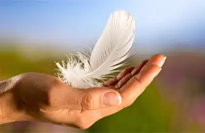 feathers signs from the afterlife