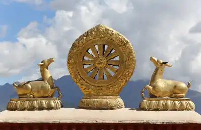Buddhism The Dharma Wheel religious symbol