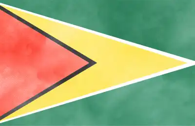 Guyana flag