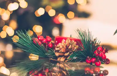 How to Make Christmas Decor from Nature